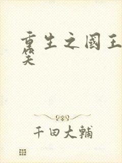 重生之国王的微笑封面