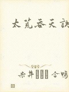 太荒吞天诀小说