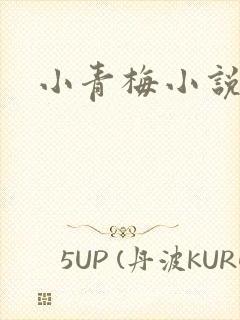 小青梅小说封面