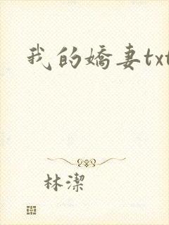 我的娇妻txt封面
