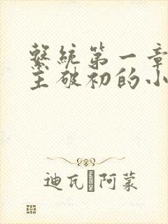 系统第一章给宿主破初的小说