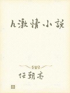 h激情小说