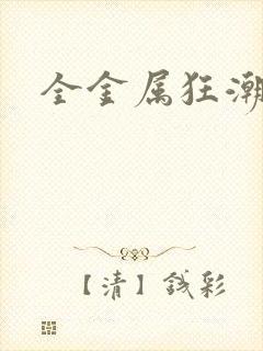 全金属狂潮小说