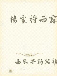 杨家将雨露均沾封面