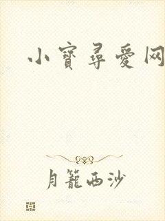 小宝寻爱网封面