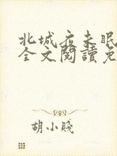 北城夜未眠小说全文阅读免费封面