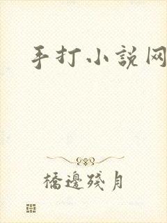 手打小说网