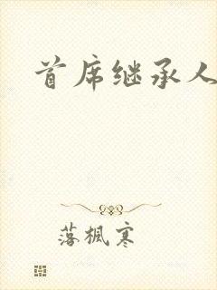 首席继承人封面