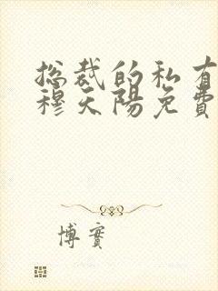 总裁的私有宝贝穆天阳免费封面