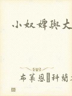 小奴婢与大少爷