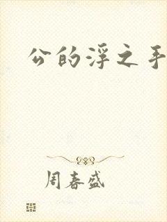 公的浮之手中字封面