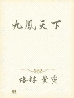 九凤天下封面
