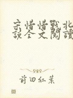 宋惜惜战北望小说全文阅读