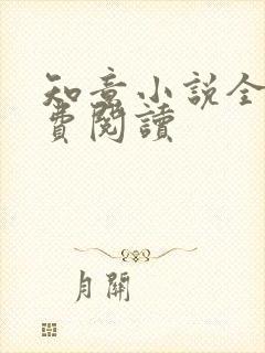 知意小说全文免费阅读封面