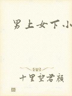 男上女下小说