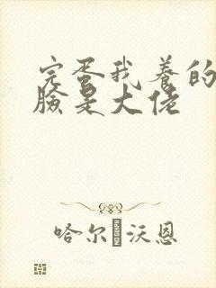 完蛋我养的小白脸是大佬封面