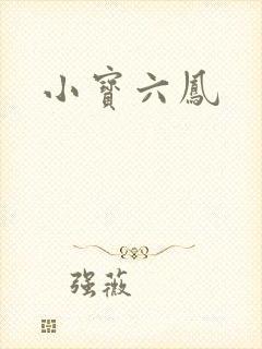 小宝六凤