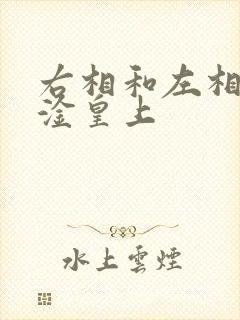 右相和左相一起淦皇上封面