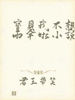 宝贝我不想带小雨伞啦小说