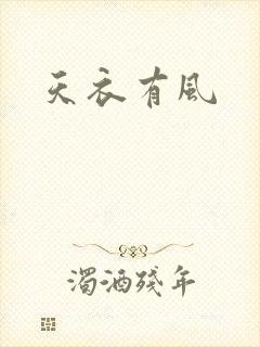 天衣有风封面