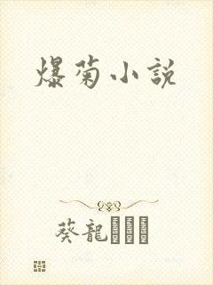 爆菊小说