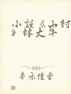 小说《山村情事》林大牛