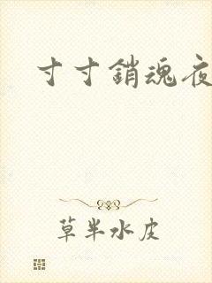 寸寸销魂夜春光封面