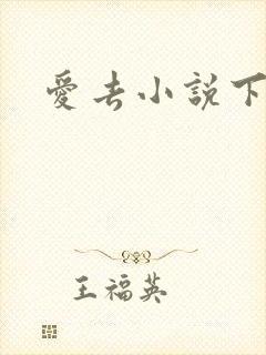 爱去小说下载网