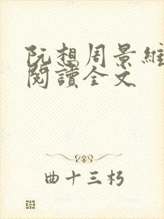 阮想周景维免费阅读全文