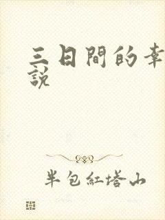 三日间的幸福小说封面