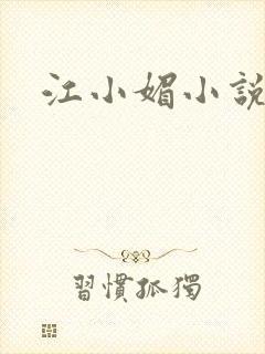 江小媚小说封面