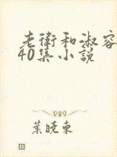 老卫和淑容1-40集小说