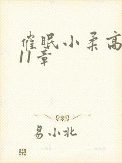 催眠小柔高达第11章封面