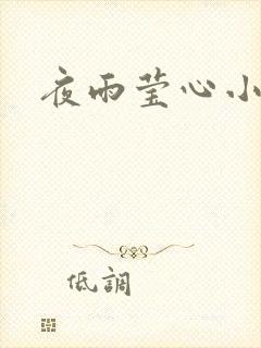 夜雨莹心小说