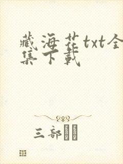 藏海花txt全集下载
