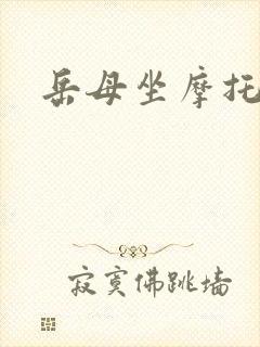 岳母坐摩托封面