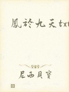 凤于九天txt封面