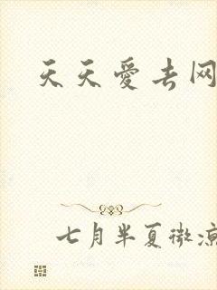 天天爱去网