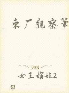 东厂观察笔记封面