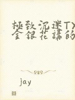 极致沉迷TXL金银花讲的什么