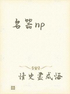 名器np