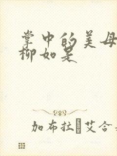 掌中的美母版主柳如是封面