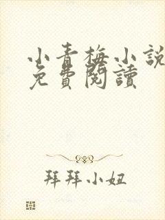 小青梅小说全文免费阅读