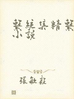 系统集精系统 小说