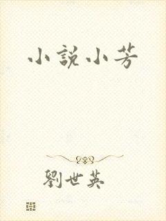小说小芳