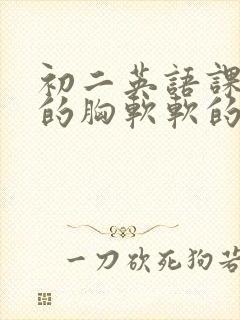 初二英语课代表的胸软软的