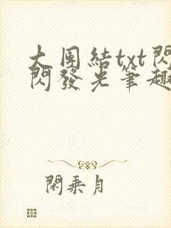 大团结txt闪闪发光笔趣阁