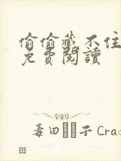 偷偷藏不住小说免费阅读