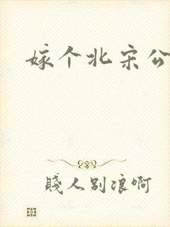 嫁个北宋公务员