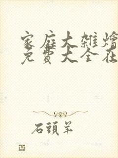 家庭大杂烩小说免费大全在线阅读封面